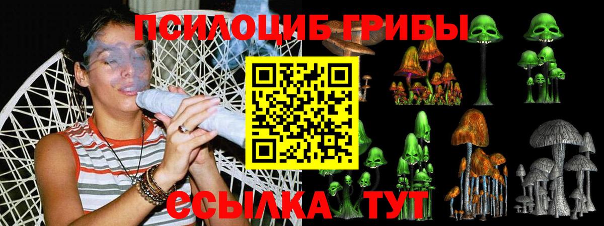 Галлюциногенные грибы Psilocybe Светлоград