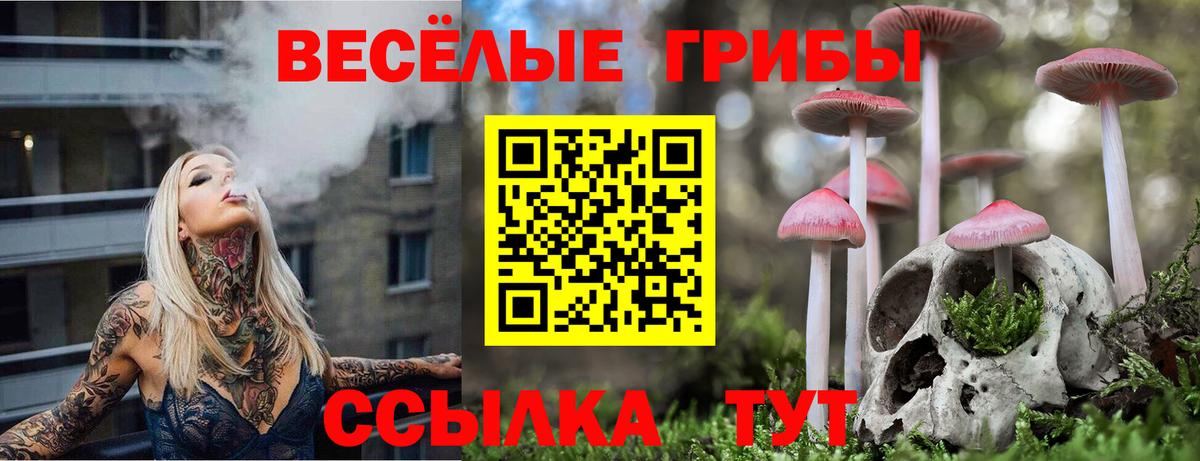 Галлюциногенные грибы Magic Shrooms  цены   Светлоград 