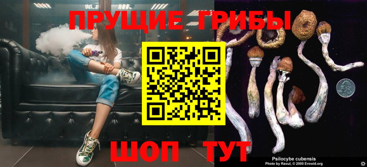 Галлюциногенные грибы Psilocybine cubensis Светлоград
